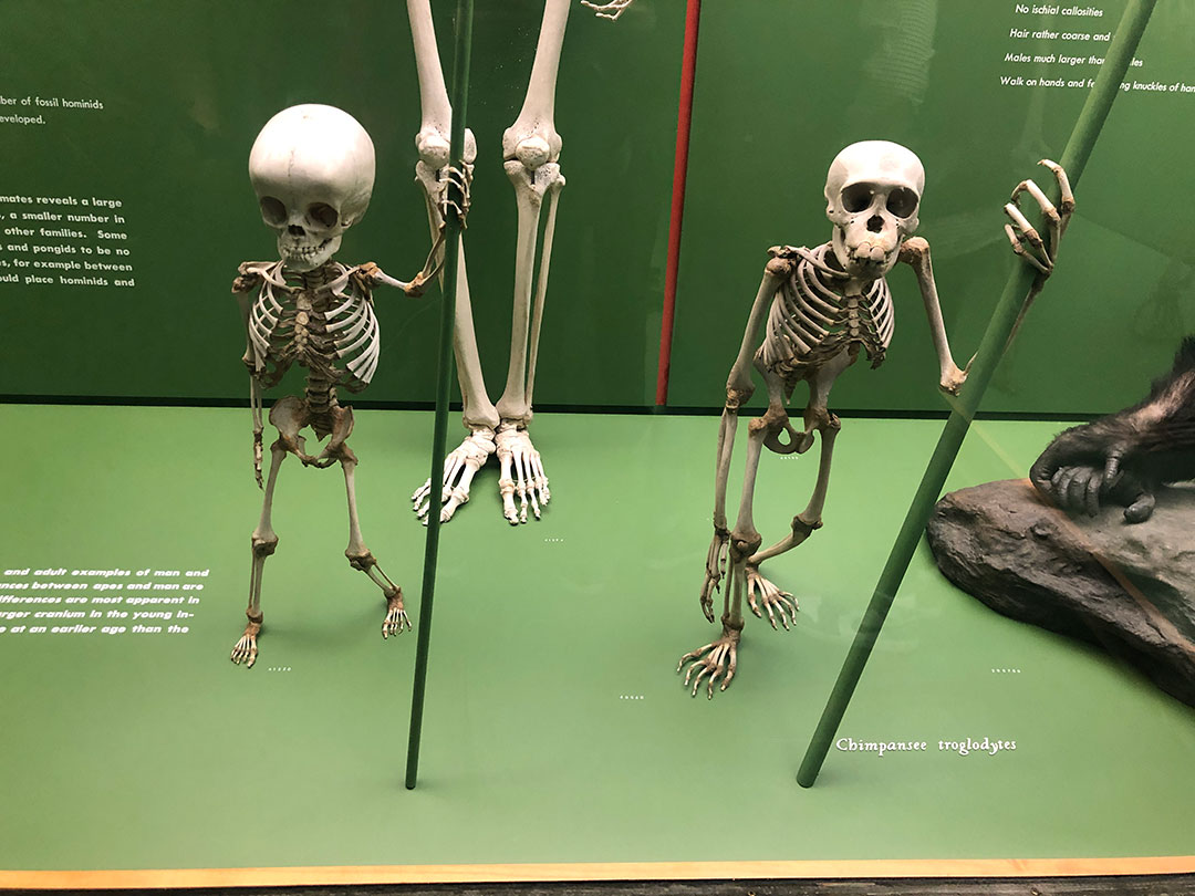 La magia nocturna de los museos de Nueva York