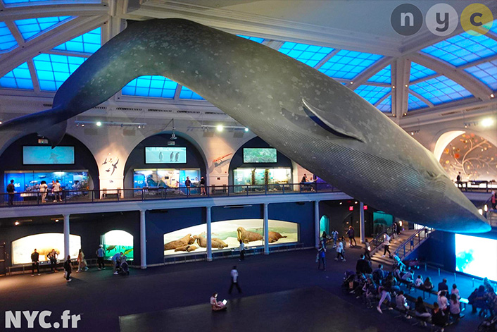 Las mejores ofertas para visitar los museos de Nueva York